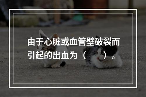 由于心脏或血管壁破裂而引起的出血为（　　）。