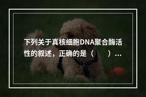 下列关于真核细胞DNA聚合酶活性的叙述，正确的是（　　）。