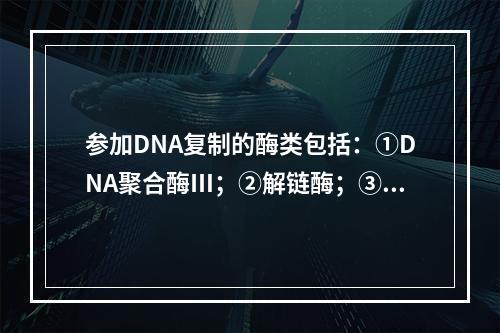 参加DNA复制的酶类包括：①DNA聚合酶Ⅲ；②解链酶；③D