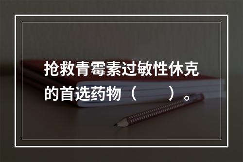 抢救青霉素过敏性休克的首选药物（　　）。