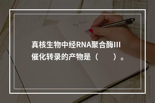 真核生物中经RNA聚合酶Ⅲ催化转录的产物是（　　）。