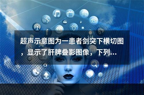 超声示意图为一患者剑突下横切图，显示了肝脾叠影图像，下列哪些