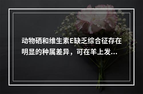 动物硒和维生素E缺乏综合征存在明显的种属差异，可在羊上发生