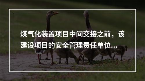 煤气化装置项目中间交接之前，该建设项目的安全管理责任单位为（