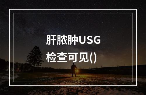 肝脓肿USG检查可见()