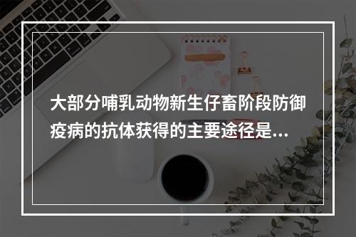 大部分哺乳动物新生仔畜阶段防御疫病的抗体获得的主要途径是（