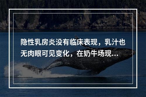 隐性乳房炎没有临床表现，乳汁也无肉眼可见变化，在奶牛场现场