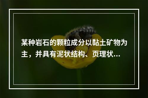 某种岩石的颗粒成分以黏土矿物为主，并具有泥状结构、页理状构