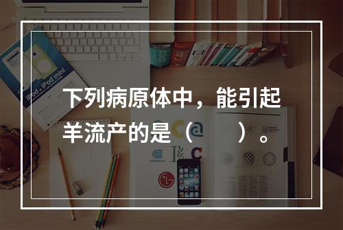 下列病原体中，能引起羊流产的是（　　）。