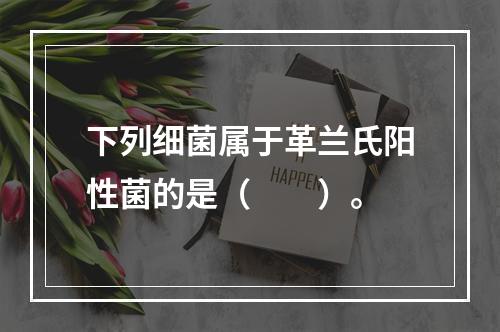 下列细菌属于革兰氏阳性菌的是（　　）。