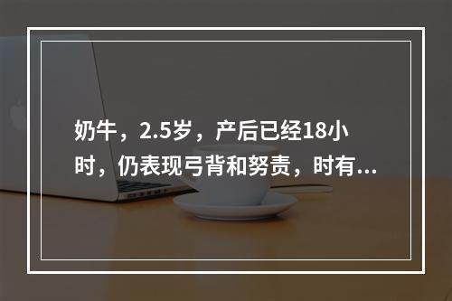 奶牛，2.5岁，产后已经18小时，仍表现弓背和努责，时有污