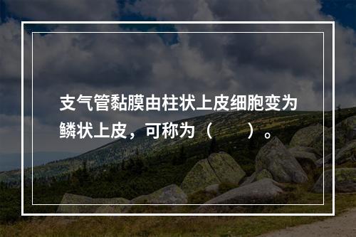 支气管黏膜由柱状上皮细胞变为鳞状上皮，可称为（　　）。