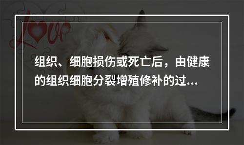 组织、细胞损伤或死亡后，由健康的组织细胞分裂增殖修补的过程