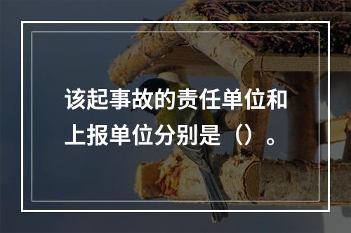 该起事故的责任单位和上报单位分别是（）。