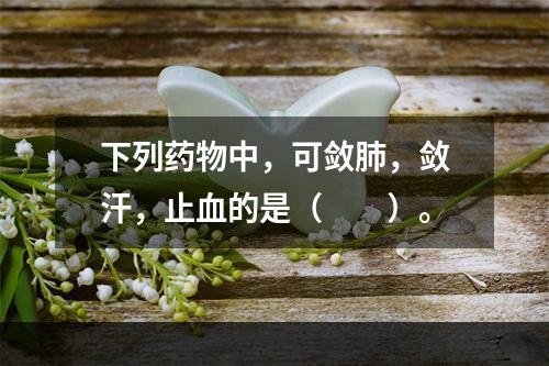 下列药物中，可敛肺，敛汗，止血的是（　　）。