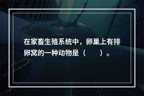 在家畜生殖系统中，卵巢上有排卵窝的一种动物是（　　）。