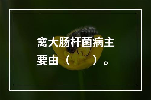 禽大肠杆菌病主要由（　　）。