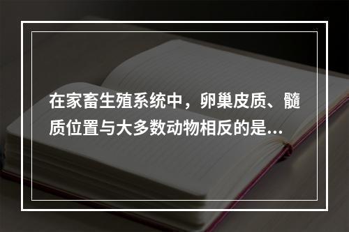 在家畜生殖系统中，卵巢皮质、髓质位置与大多数动物相反的是（