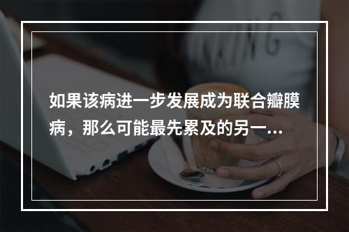 如果该病进一步发展成为联合瓣膜病，那么可能最先累及的另一个瓣