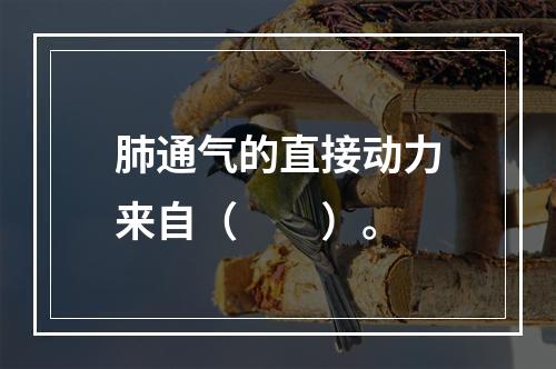 肺通气的直接动力来自（　　）。