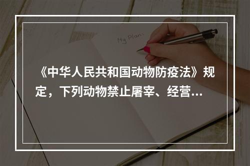 《中华人民共和国动物防疫法》规定，下列动物禁止屠宰、经营、