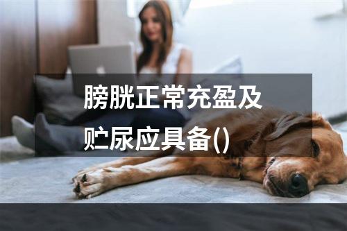 膀胱正常充盈及贮尿应具备()