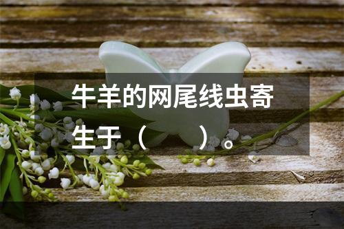 牛羊的网尾线虫寄生于（　　）。