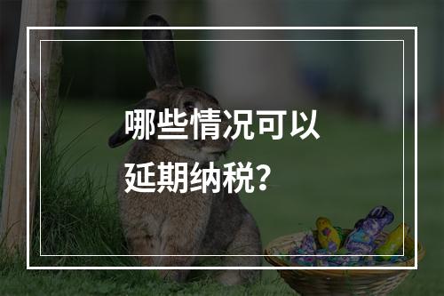 哪些情况可以延期纳税？