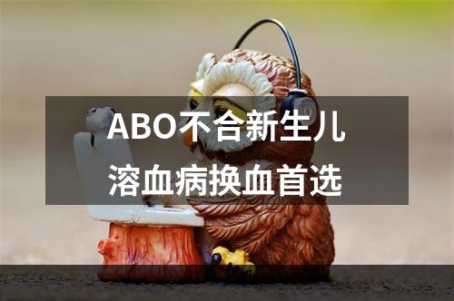 ABO不合新生儿溶血病换血首选