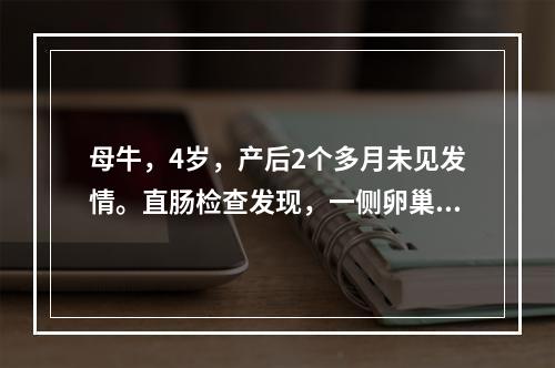 母牛，4岁，产后2个多月未见发情。直肠检查发现，一侧卵巢比对