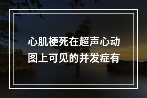 心肌梗死在超声心动图上可见的并发症有