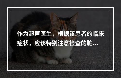 作为超声医生，根据该患者的临床症状，应该特别注意检查的脏器是