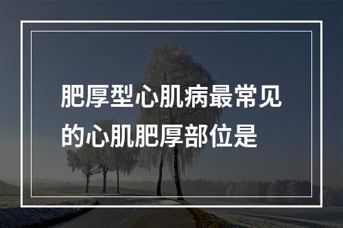 肥厚型心肌病最常见的心肌肥厚部位是