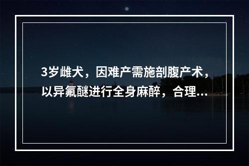 3岁雌犬，因难产需施剖腹产术，以异氟醚进行全身麻醉，合理的