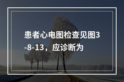 患者心电图检查见图3-8-13，应诊断为