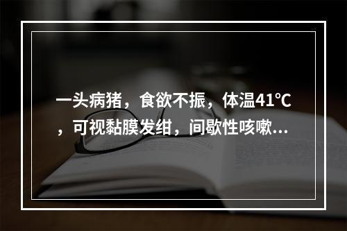 一头病猪，食欲不振，体温41℃，可视黏膜发绀，间歇性咳嗽，