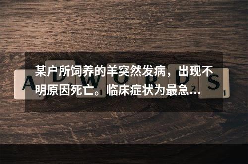 某户所饲养的羊突然发病，出现不明原因死亡。临床症状为最急性