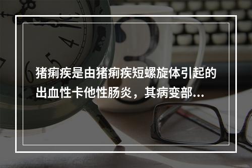 猪痢疾是由猪痢疾短螺旋体引起的出血性卡他性肠炎，其病变部位