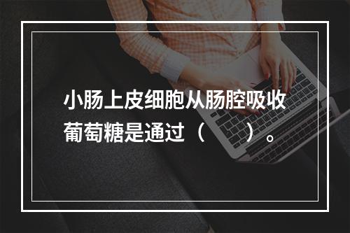 小肠上皮细胞从肠腔吸收葡萄糖是通过（　　）。