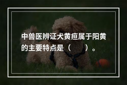 中兽医辨证犬黄疸属于阳黄的主要特点是（　　）。