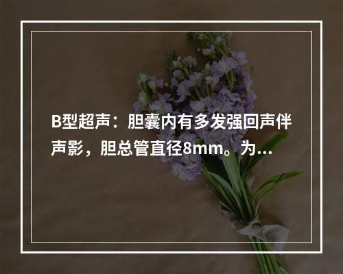 B型超声：胆囊内有多发强回声伴声影，胆总管直径8mm。为了确