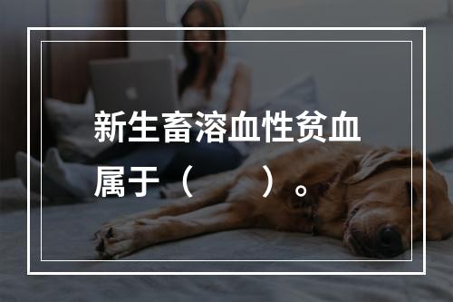 新生畜溶血性贫血属于（　　）。