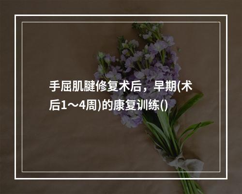 手屈肌腱修复术后，早期(术后1～4周)的康复训练()