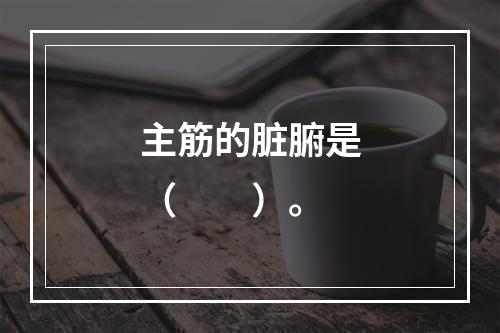 主筋的脏腑是（　　）。