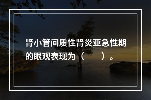 肾小管间质性肾炎亚急性期的眼观表现为（　　）。