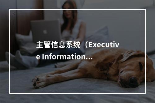 主管信息系统（Executive Information S