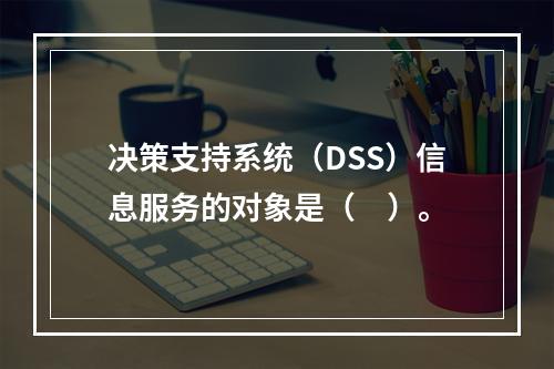 决策支持系统（DSS）信息服务的对象是（　）。