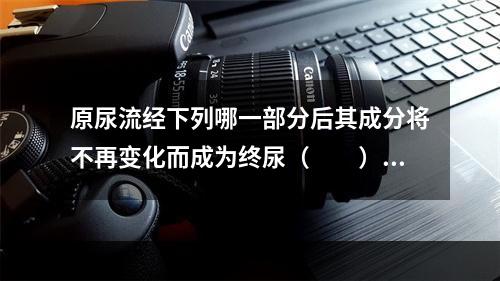 原尿流经下列哪一部分后其成分将不再变化而成为终尿（　　）。