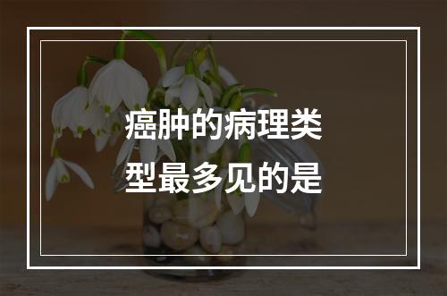 癌肿的病理类型最多见的是