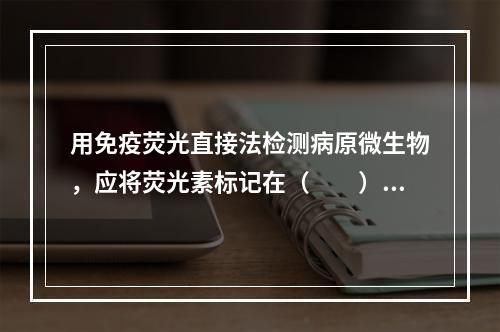 用免疫荧光直接法检测病原微生物，应将荧光素标记在（　　）。